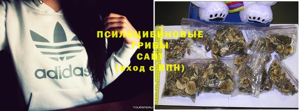 бошки Краснотурьинск