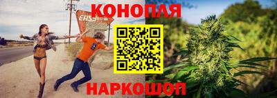 СК Гудермес