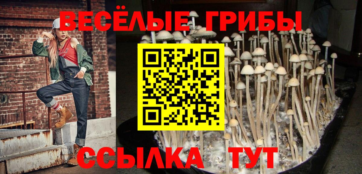 Североуральск  Псилоцибиновые грибы Psilocybine cubensis  Вход с VPN  Псилоцибиновые грибы GOLDEN TEACHER 